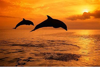 梅西圆梦？《FIFA 23》预测2022年世界杯冠军是阿根廷