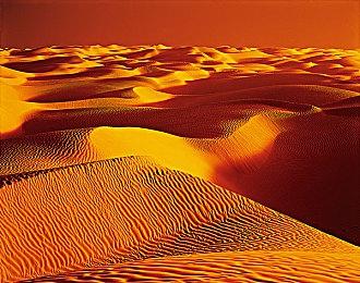 《月姬格斗：Type Lumina》越野秋叶vs爱尔奎特对战演示 